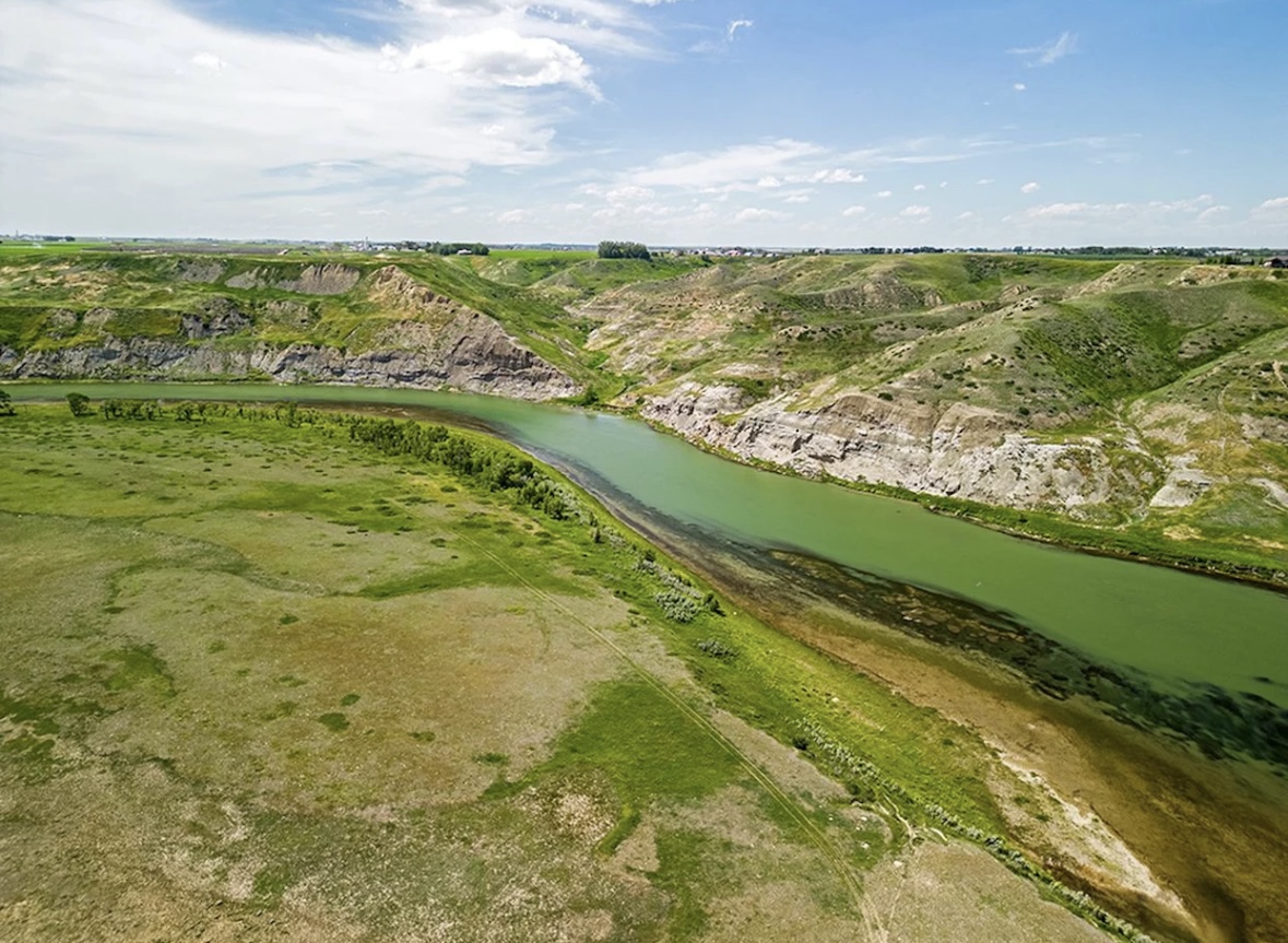 Proterra Seeds wildflower and native seed mix for Western Canadian reclamation and pollinator habitat.