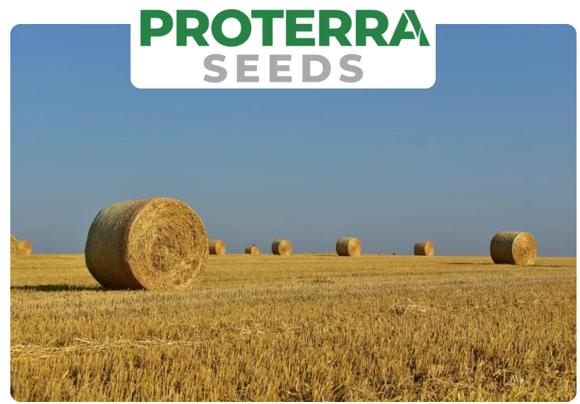proterra new hay field picture